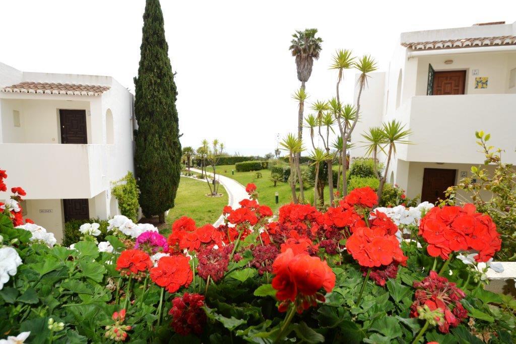 Nautilus Apartment Armação de Pêra Extérieur photo